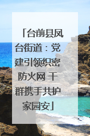 台前县凤台街道：党建引领织密防火网 干群携手共护家园安