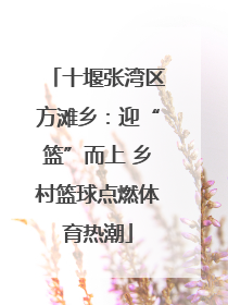 十堰张湾区方滩乡：迎“篮”而上 乡村篮球点燃体育热潮