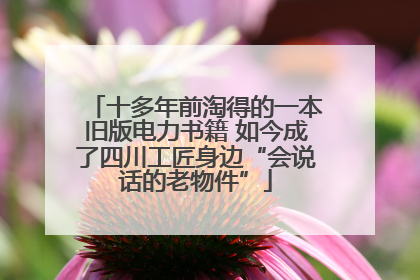 十多年前淘得的一本旧版电力书籍 如今成了四川工匠身边“会说话的老物件”