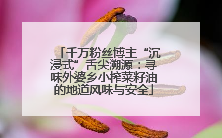 千万粉丝博主“沉浸式”舌尖溯源：寻味外婆乡小榨菜籽油的地道风味与安全