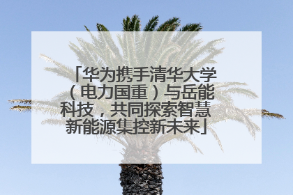 华为携手清华大学（电力国重）与岳能科技，共同探索智慧新能源集控新未来