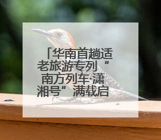 华南首趟适老旅游专列“南方列车·潇湘号”满载启程，17天横跨新青甘