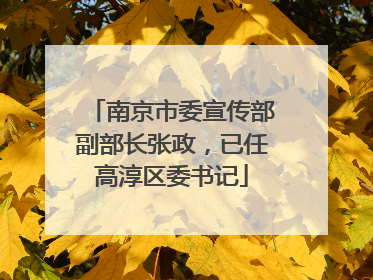 南京市委宣传部副部长张政，已任高淳区委书记