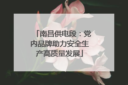 南昌供电段：党内品牌助力安全生产高质量发展