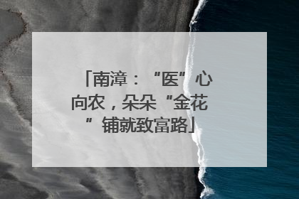 南漳：“医”心向农，朵朵“金花”铺就致富路