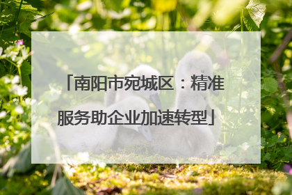 南阳市宛城区：精准服务助企业加速转型