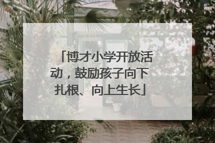 博才小学开放活动，鼓励孩子向下扎根、向上生长