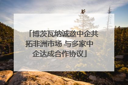 博茨瓦纳诚邀中企共拓非洲市场 与多家中企达成合作协议