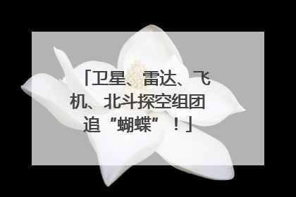 卫星、雷达、飞机、北斗探空组团追“蝴蝶”！