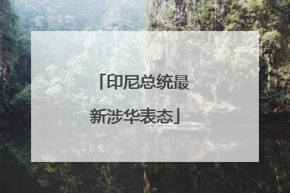 印尼总统最新涉华表态
