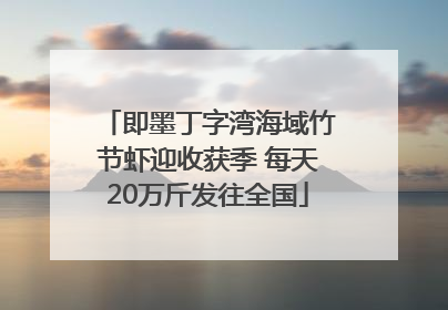 即墨丁字湾海域竹节虾迎收获季 每天20万斤发往全国