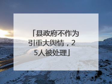 县政府不作为引重大舆情，25人被处理