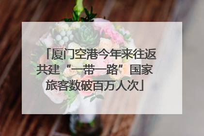 厦门空港今年来往返共建“一带一路”国家旅客数破百万人次