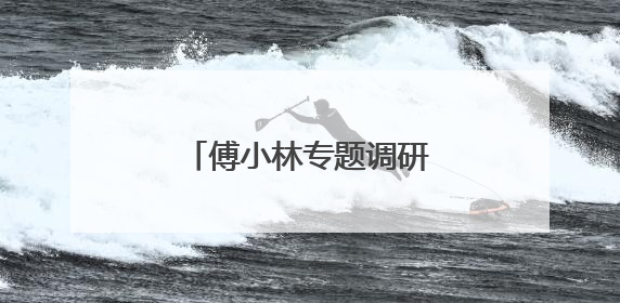傅小林专题调研“两山”转化突破攻坚战推进情况