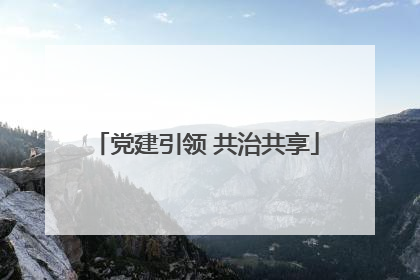 党建引领 共治共享