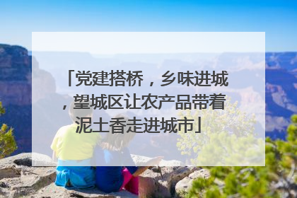 党建搭桥，乡味进城，望城区让农产品带着泥土香走进城市