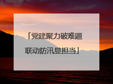 党建聚力破难题 联动防汛显担当