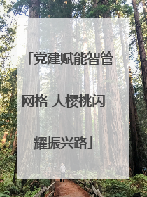 党建赋能智管网格 大樱桃闪耀振兴路