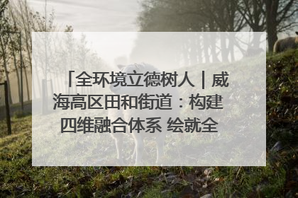 全环境立德树人｜威海高区田和街道：构建四维融合体系 绘就全环境立德树人新画卷