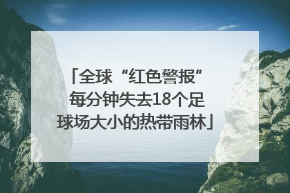全球“红色警报”  每分钟失去18个足球场大小的热带雨林