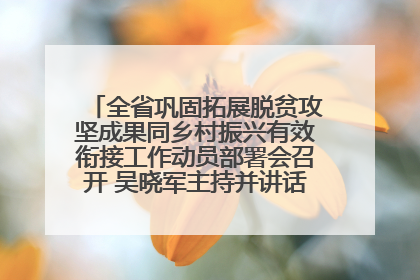 全省巩固拓展脱贫攻坚成果同乡村振兴有效衔接工作动员部署会召开 吴晓军主持并讲话 罗东川作安排部署