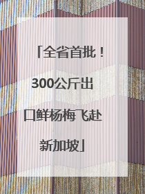 全省首批！300公斤出口鲜杨梅飞赴新加坡