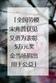 全国劳模宋兆普获见义勇为表彰 5万元奖金当场捐出用于公益