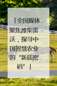 全国媒体聚焦潍柴雷沃，探寻中国智慧农业的“新质密码”