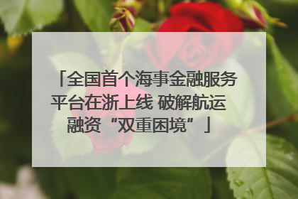全国首个海事金融服务平台在浙上线 破解航运融资“双重困境”
