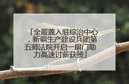 全覆盖入驻综治中心，新疆生产建设兵团第五师法院开启一扇门助力高速讨薪获赞