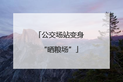 公交场站变身“晒粮场”