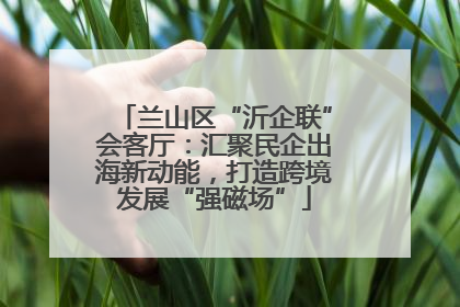 兰山区“沂企联”会客厅：汇聚民企出海新动能，打造跨境发展“强磁场”