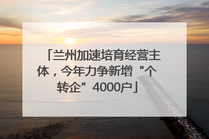 兰州加速培育经营主体，今年力争新增“个转企”4000户