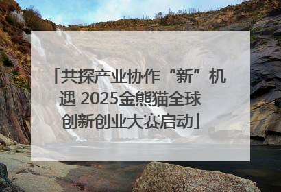 共探产业协作“新”机遇 2025金熊猫全球创新创业大赛启动