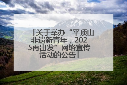 关于举办“平顶山非遗新青年，2025再出发”网络宣传活动的公告
