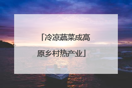 冷凉蔬菜成高原乡村热产业
