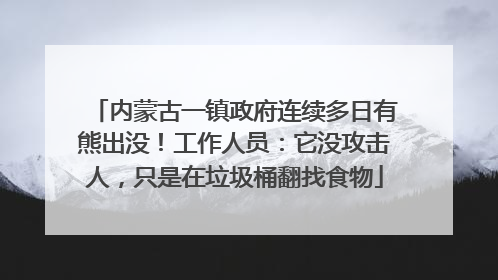 内蒙古一镇政府连续多日有熊出没！工作人员：它没攻击人，只是在垃圾桶翻找食物