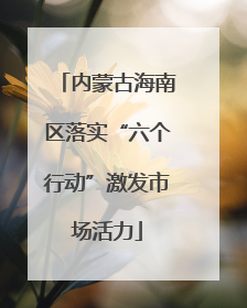 内蒙古海南区落实“六个行动”激发市场活力