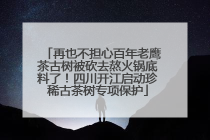 再也不担心百年老鹰茶古树被砍去熬火锅底料了！四川开江启动珍稀古茶树专项保护
