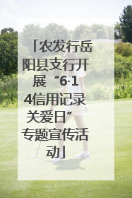 农发行岳阳县支行开展“6·14信用记录关爱日” 专题宣传活动