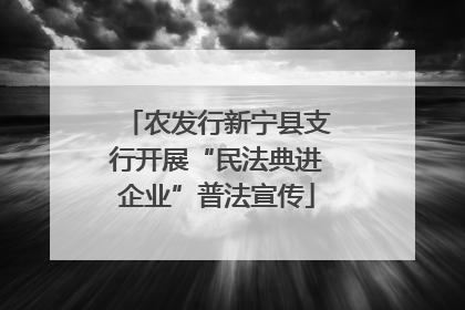 农发行新宁县支行开展“民法典进企业”普法宣传
