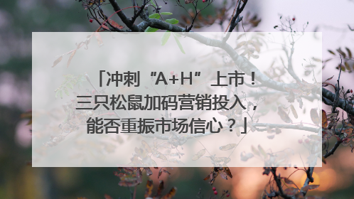 冲刺“A+H”上市！三只松鼠加码营销投入，能否重振市场信心？