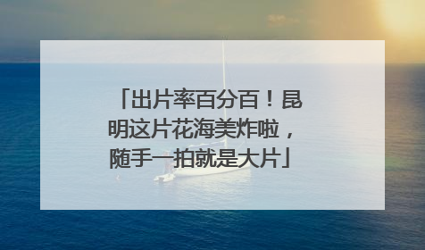 出片率百分百！昆明这片花海美炸啦，随手一拍就是大片