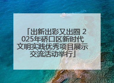 出新出彩又出圈 2025年硚口区新时代文明实践优秀项目展示交流活动举行