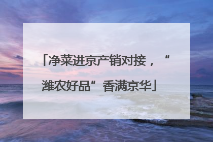 净菜进京产销对接，“潍农好品”香满京华