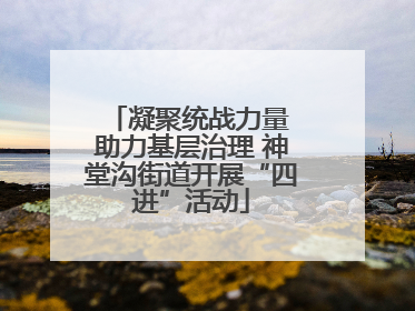 凝聚统战力量 助力基层治理 神堂沟街道开展“四进”活动