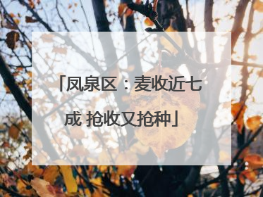 凤泉区：麦收近七成 抢收又抢种