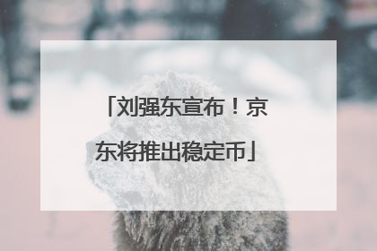 刘强东宣布！京东将推出稳定币