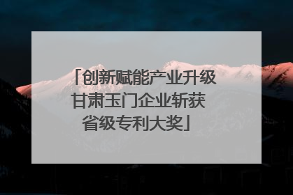 创新赋能产业升级 甘肃玉门企业斩获省级专利大奖