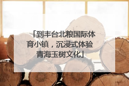 到丰台北粮国际体育小镇，沉浸式体验青海玉树文化